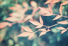 芬兰队攻防兼备，力争晋级淘汰赛