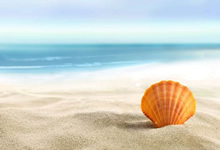 澳大利亚代表队晋级国际比赛半决赛——热血与荣耀的传承