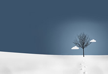 热刺战平伯恩茅斯，球队表现坚挺千钧一发