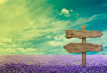 热刺战平伯恩茅斯，球队表现坚挺千钧一发